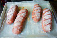 ������Ѹ����������ͼƬ����18