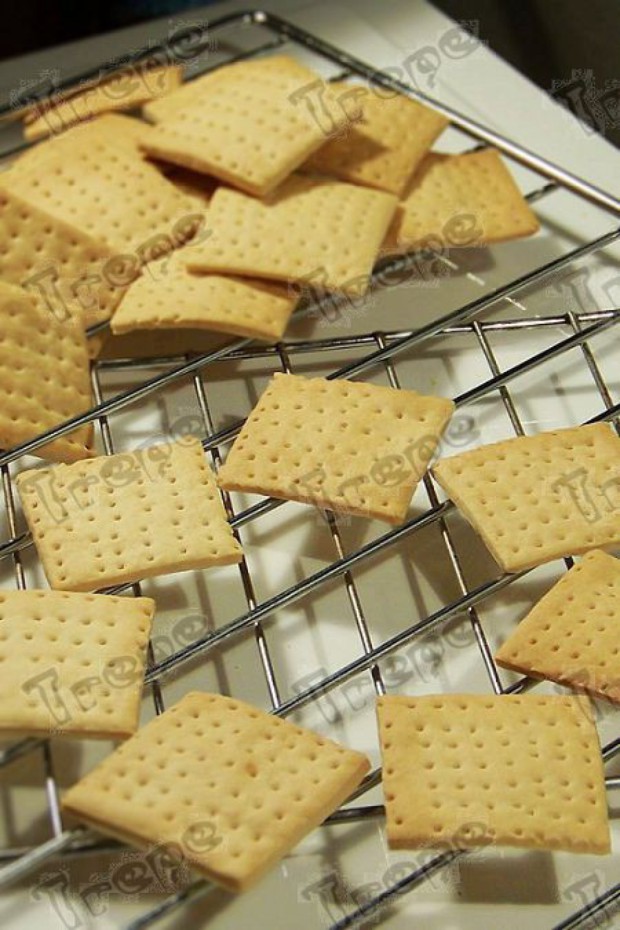 ȫ���մ���ɵ�����