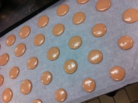�����׳ɹ���chocolate macarons �ɿ���������������ͼƬ����7