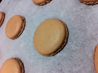 �����׳ɹ���chocolate macarons �ɿ���������������ͼƬ����8