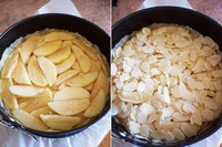 Apple Tart��ƻ������������ͼƬ����7