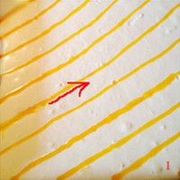 �ƽ𵰸������ͼƬ����1