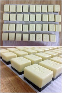 �齫�ɿ���������ͼƬ����6