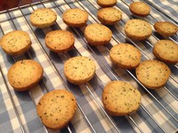 ����ֱ�������ͼƬ����8