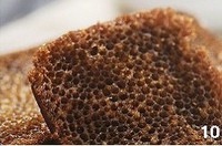 �䳲���������ͼƬ����10