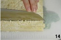 ��������������ͼƬ����14