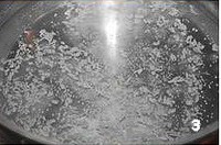 Ƥ���ֵ�����ͼƬ����3