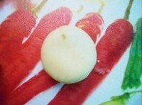 ���̶��ֱ�������ͼƬ����14