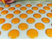 ������������ͼƬ����6