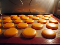 ������������ͼƬ����7