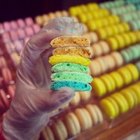 ������������ͼƬ����8