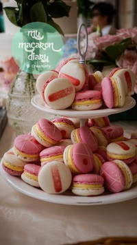 ������������ͼƬ����13