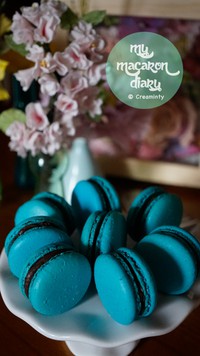 ������������ͼƬ����14