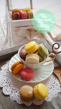 ������������ͼƬ����15