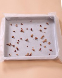 ���浰���������ͼƬ����9