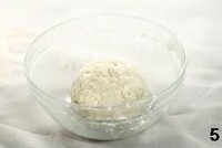 ����Բ���������ͼƬ����5