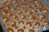 ˫ɫ���Ƶ����������ͼƬ����11