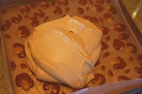 ˫ɫ���Ƶ����������ͼƬ����14