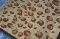 ˫ɫ���Ƶ����������ͼƬ����16