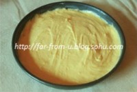 ��ʽƻ�����������ͼƬ����13