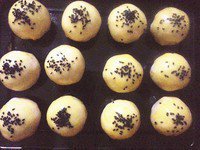 �����֣�����ζ��������ͼƬ����16