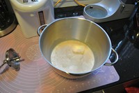 ��ole��ʽ����֥ʿ��������ͼƬ����1