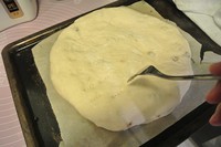 ��ole��ʽ����֥ʿ��������ͼƬ����8