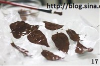 �ɿ�����Ҷ���������ͼƬ����17