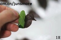 �ɿ�����Ҷ���������ͼƬ����18