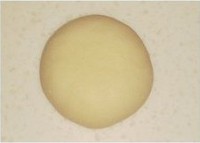 ��è���������ͼƬ����10