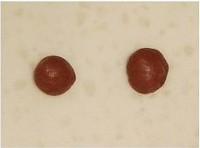 ��è���������ͼƬ����12