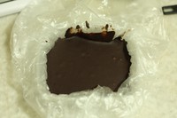 �ɿ��������������ͼƬ����1