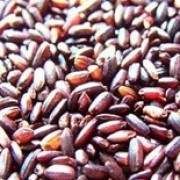 ѼѪŴ�Ĺ�Ч������