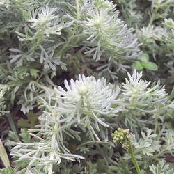 ��µĹ�Ч������