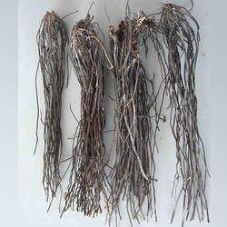 �����ɵĹ�Ч������