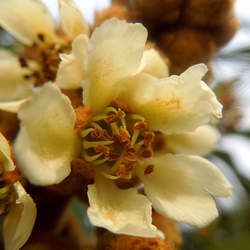 ���˻��Ĺ�Ч������