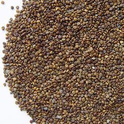 ɳԷ�ӵĹ�Ч������