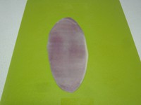 ������~������Ĩ�������ͼƬ����19