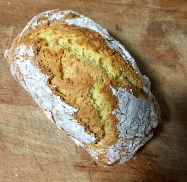 �մ����������