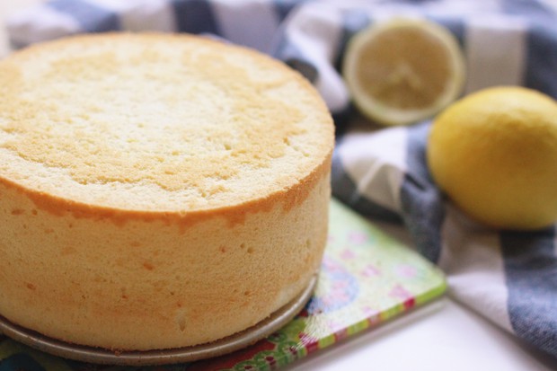 �����ݷ絰�������