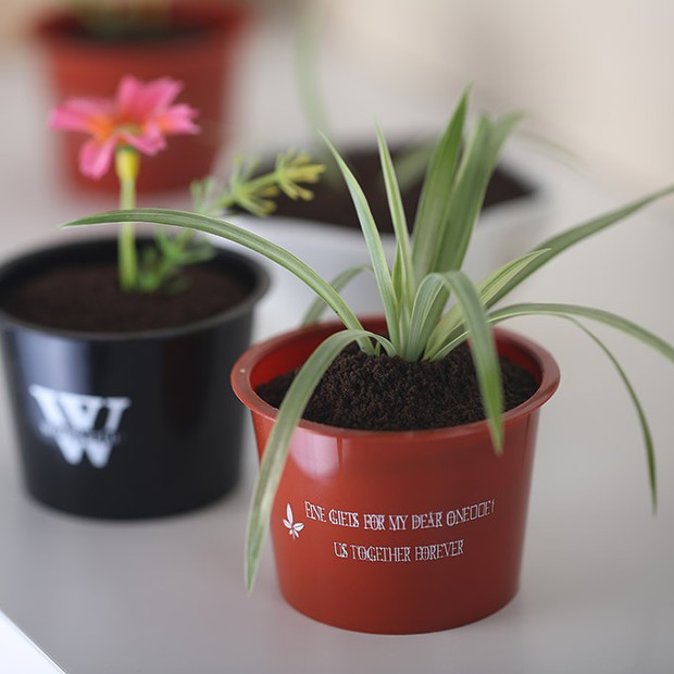 ���Ե��������