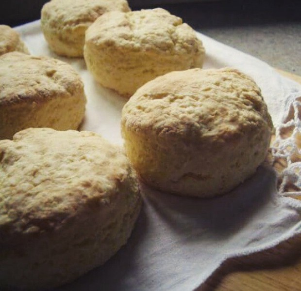 ����֥ʿ˾��������