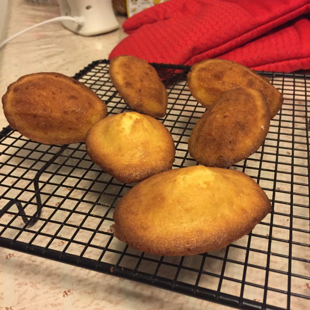 ����յ��������