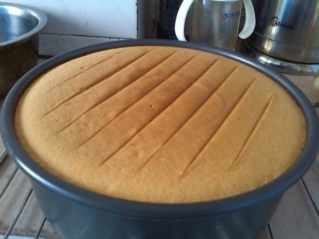 ���ζ�ݷ絰�������