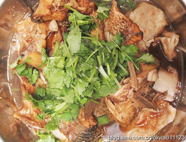 ��ͷ�ݱ�������