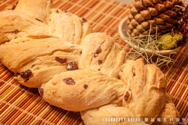 ��Խݮ�������������,�����,��Խݮ���������ô���ó���ϸ����ͼ�������