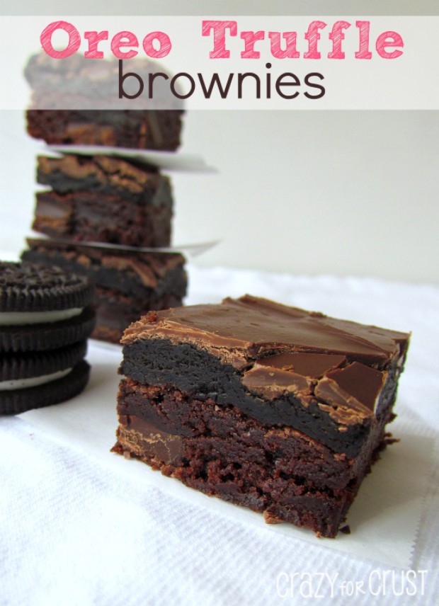 ��������¶�����������