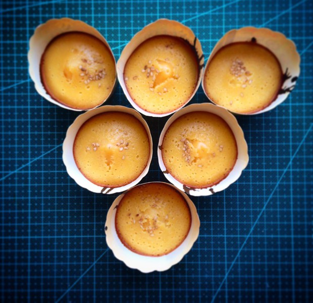 ���۵��������