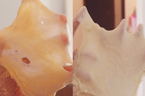 �ֹ����������