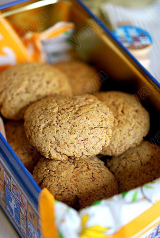 ����Ǳ��ɵ�����